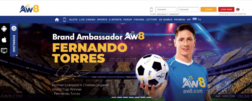 aw8-website