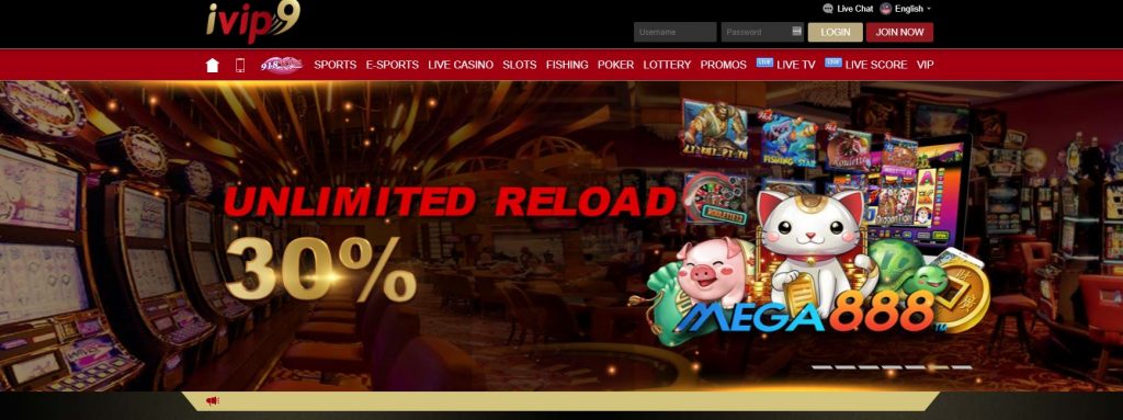 ivip9-website
