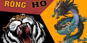 Hướng dẫn cách chơi rồng hổ dễ hiểu và hiệu quả nhất