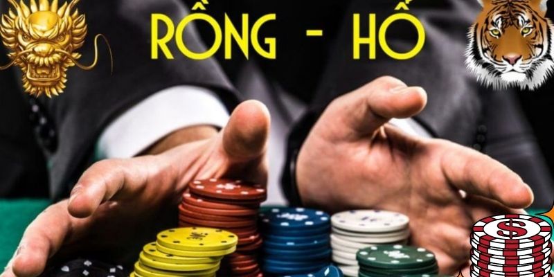 Các cửa đặt cược trong rồng hổ